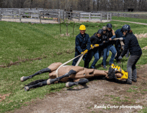 Large animal rescue training Apr 2023
