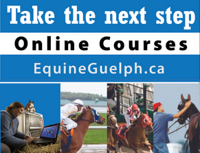 Next step in online learning with Equine Guelph