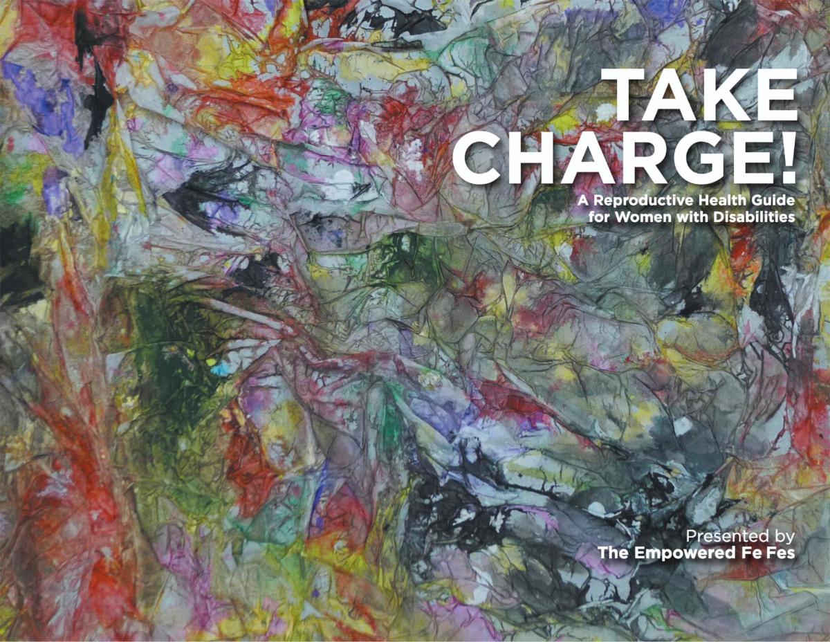 Abstract colorful decoupage cover of Take Charge - A Reporductive Health Guide for Women with Disabilities