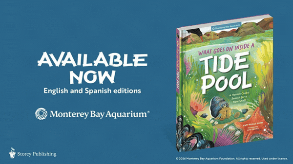 What Goes On Inside a Tide Pool book trailer