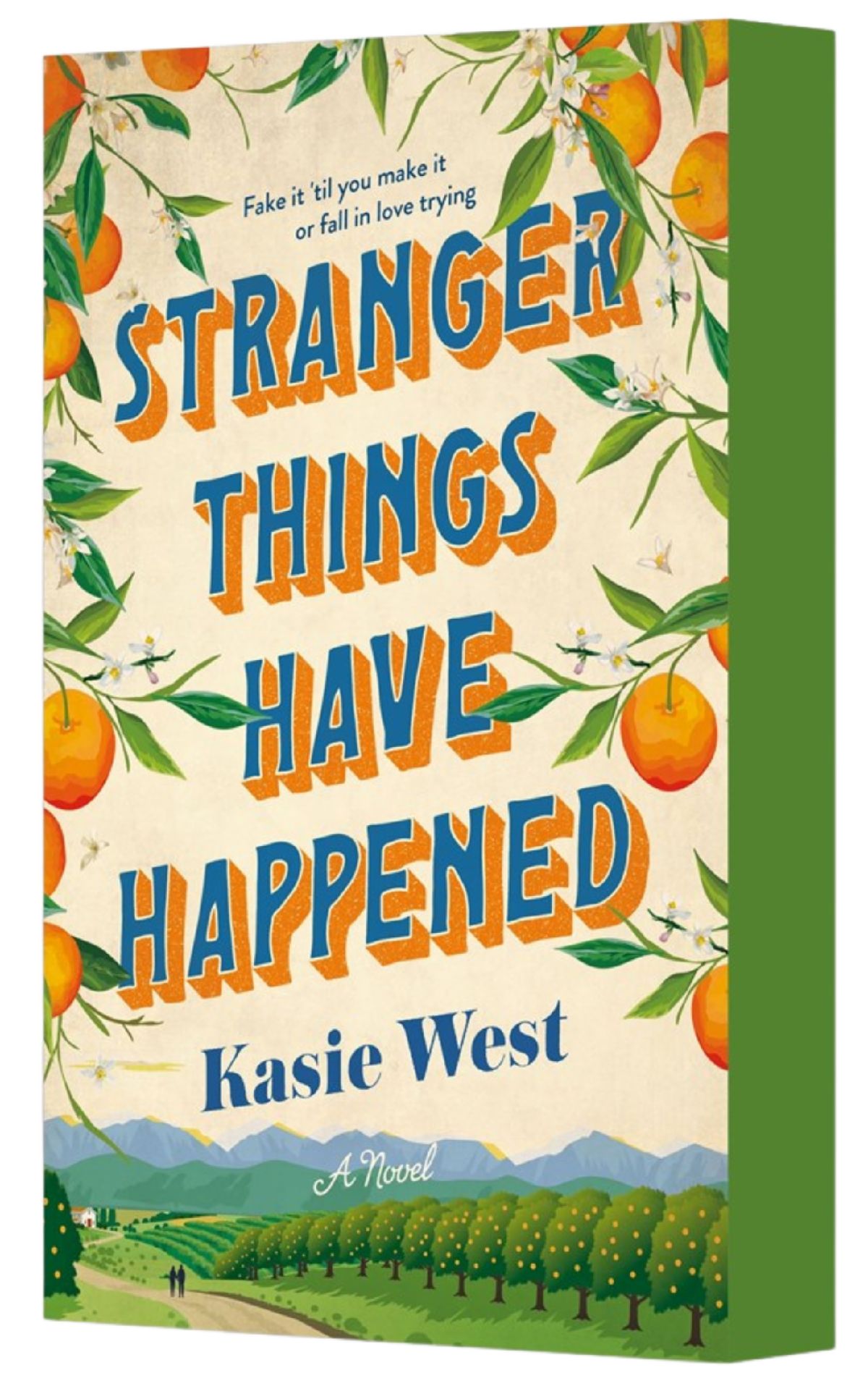 Stranger Things Have Happened Kasie West 9781250349163