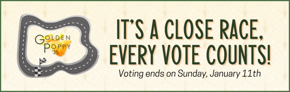 Golden Poppy It's A Close Race