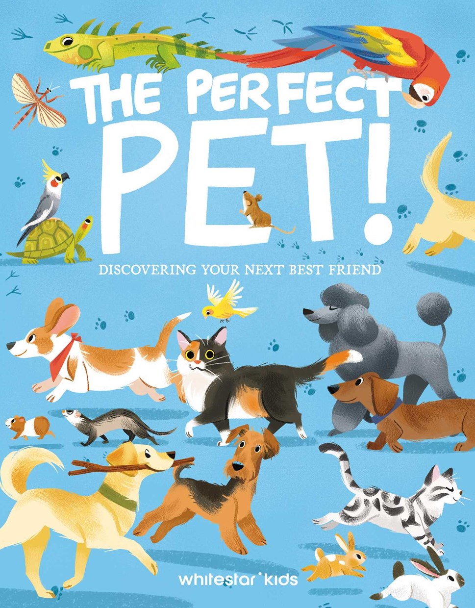 The Perfect Pet:  Discovering Your Next Best Friend Rachel Foo (Illustrated by), Altea Villa