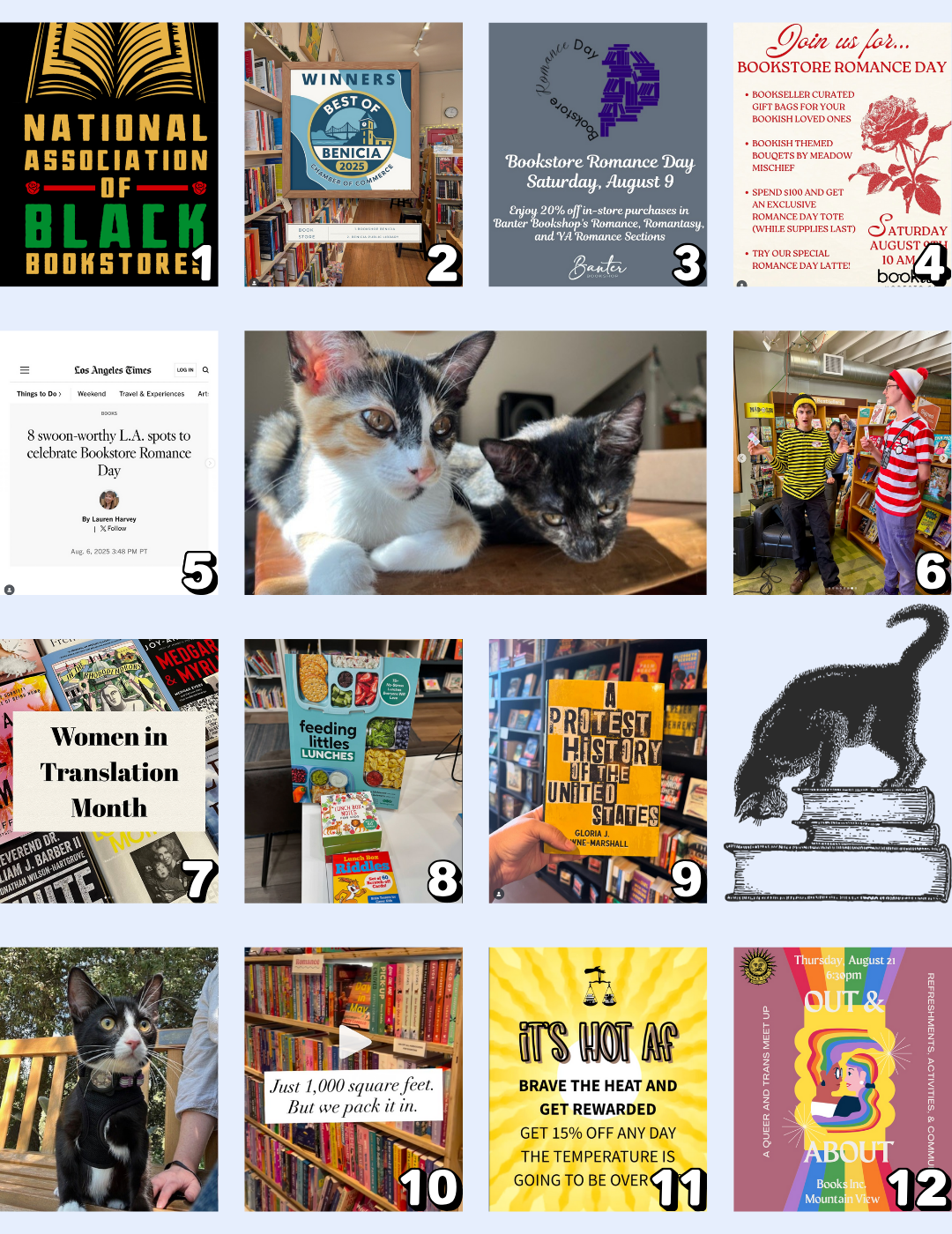 National Association of Black Bookstores Bookshop Benicia Banter Bookshop Bookish Modesto Chevalier's Books Linden Tree Children's Books Readers' Books Ruby's Books Wild Sisters Book Co East Village Bookshop Judging by the Cover Books Books Inc.