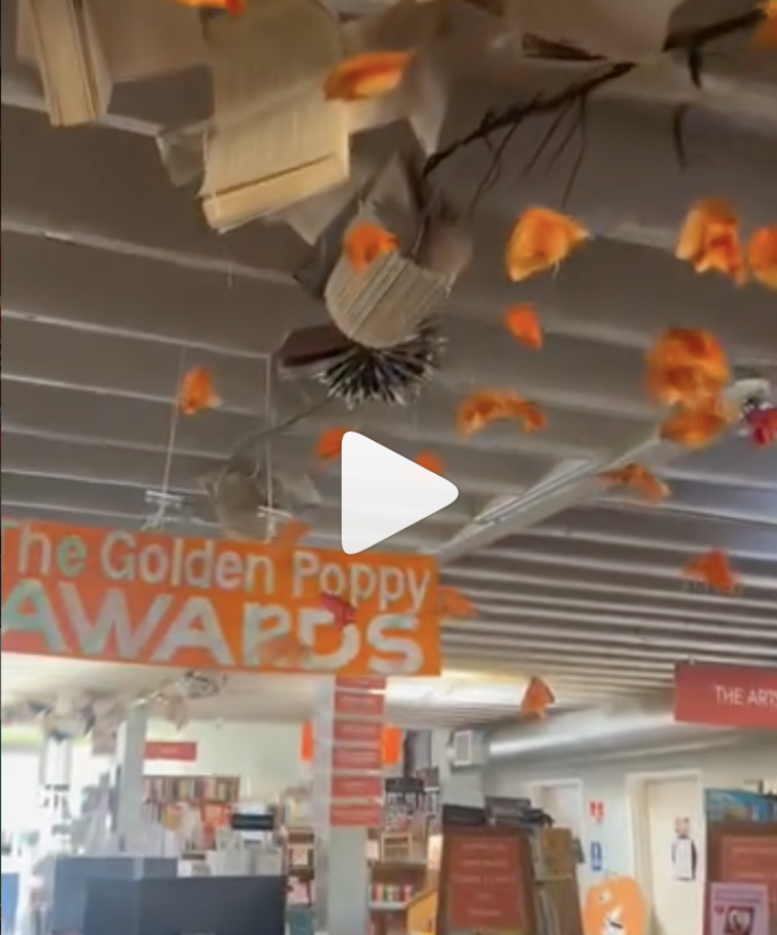 Golden Poppy 2024 Display Contest Winner - Linden Tree Books
