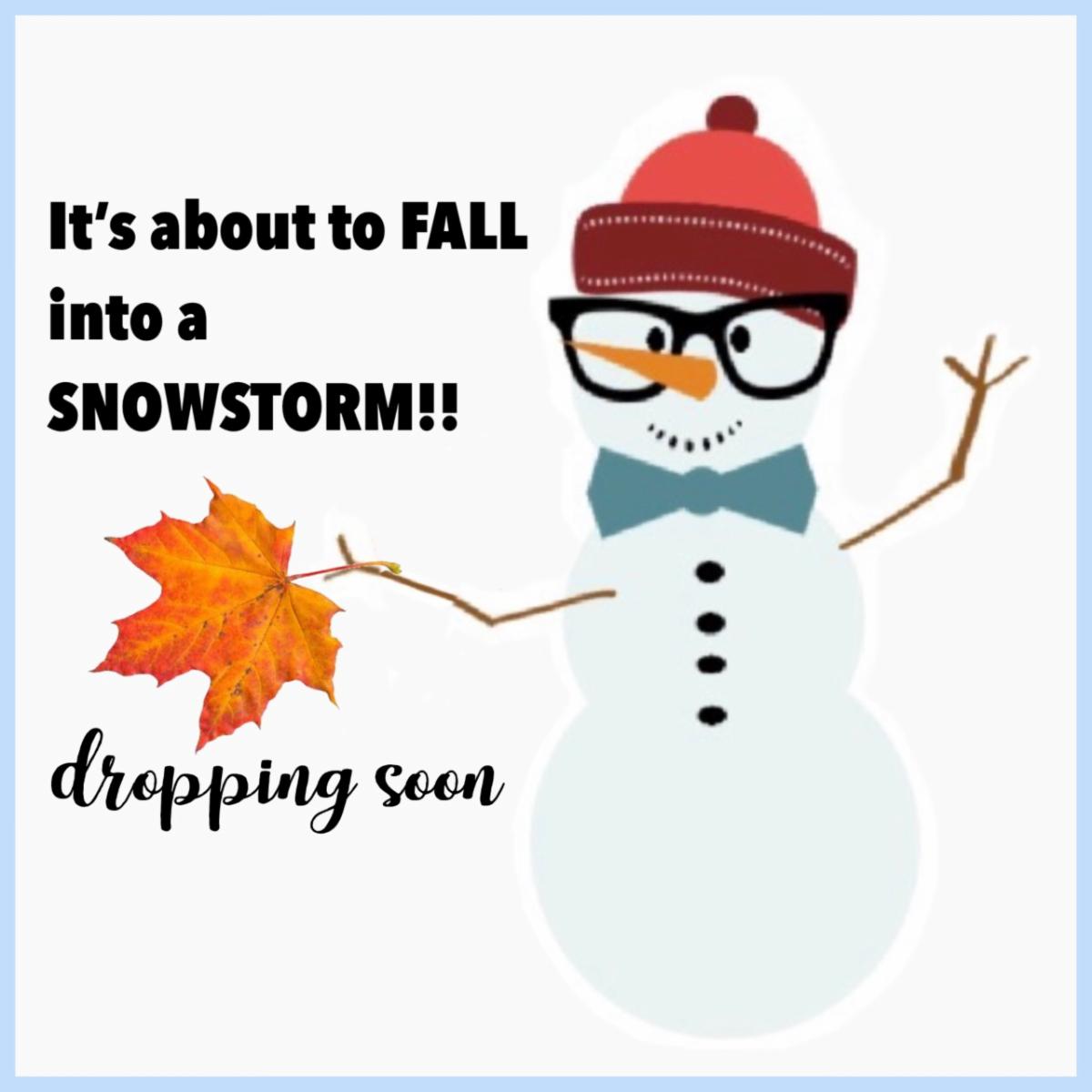 Snowstorm Teaser.jpg