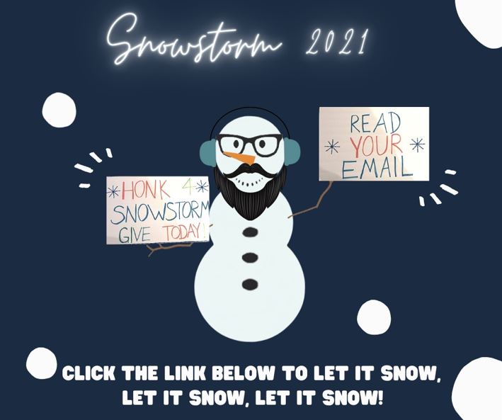 Snowstorm 12-3 new.JPG