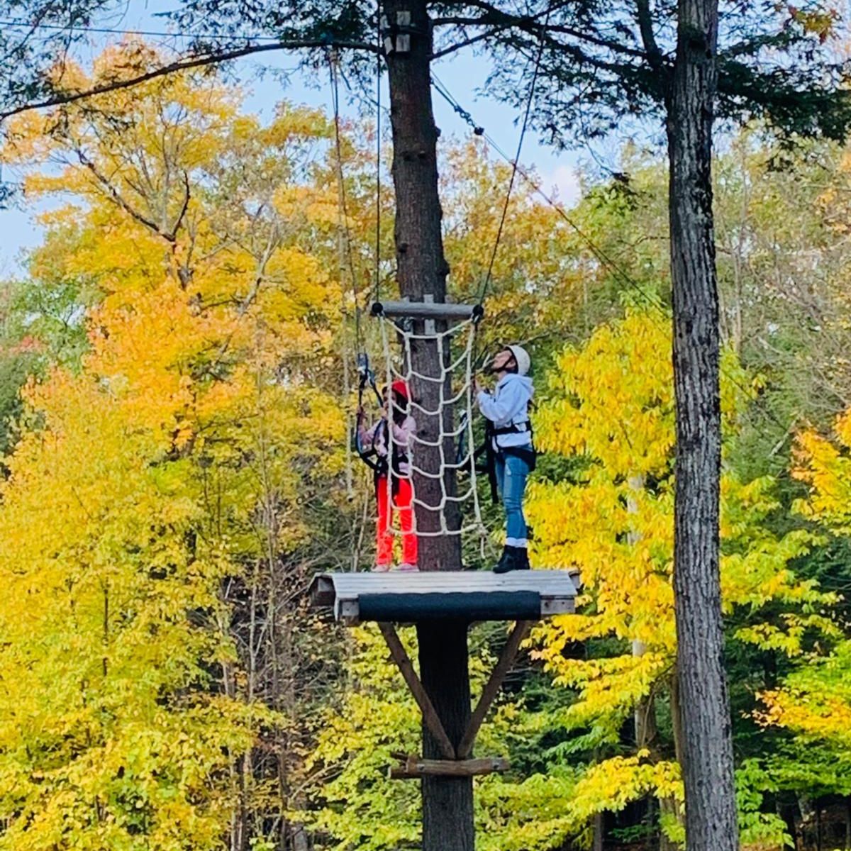People on Ropes Course
