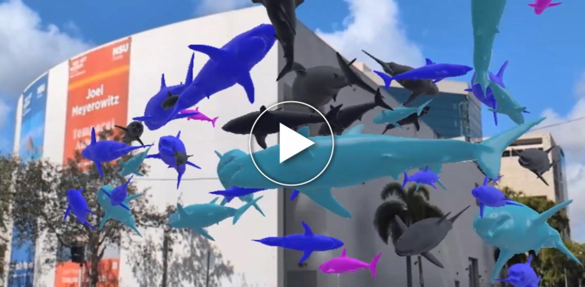 Virtual reality sharks encircle NSU Art Museum Fort Lauderdale