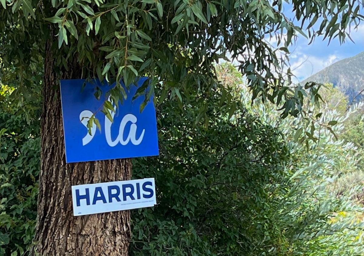 Halloween with Dems + Taos at the DNC