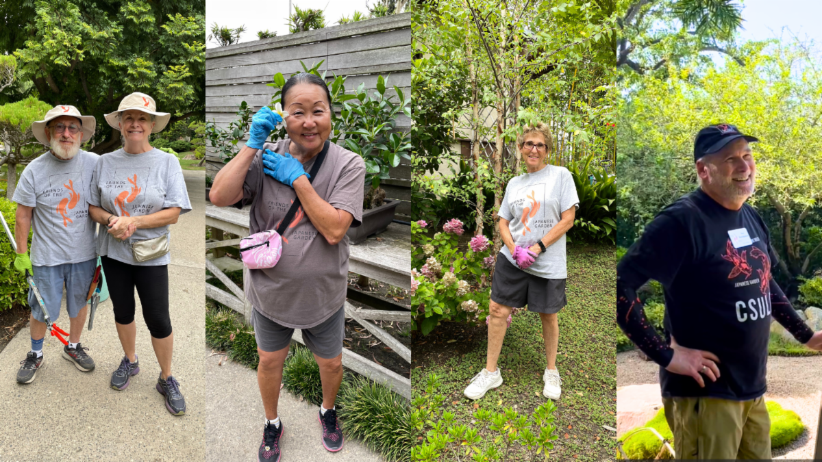 Friends of The Garden