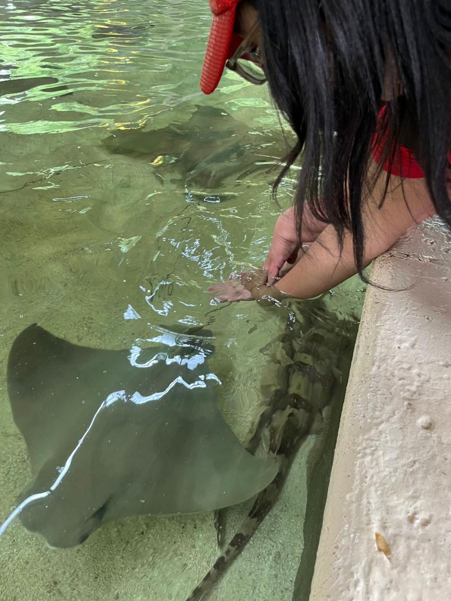 A stingray with a woman