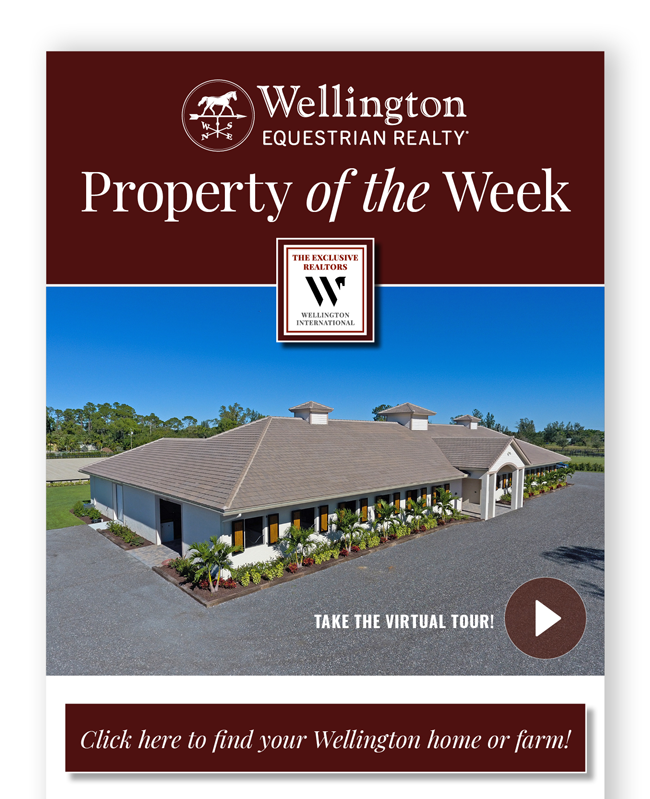 New Property of The Week