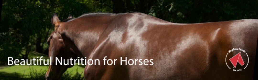 Keyflow USA, Redefining Equine Nutrition