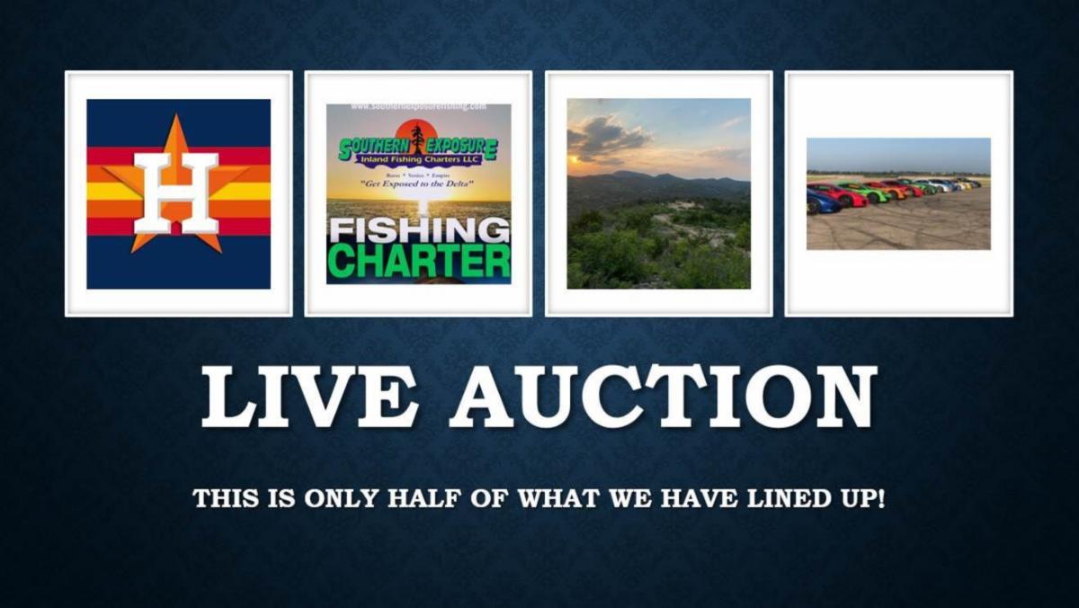 Live auction preview.jpg