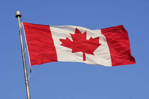 flag2.jpg