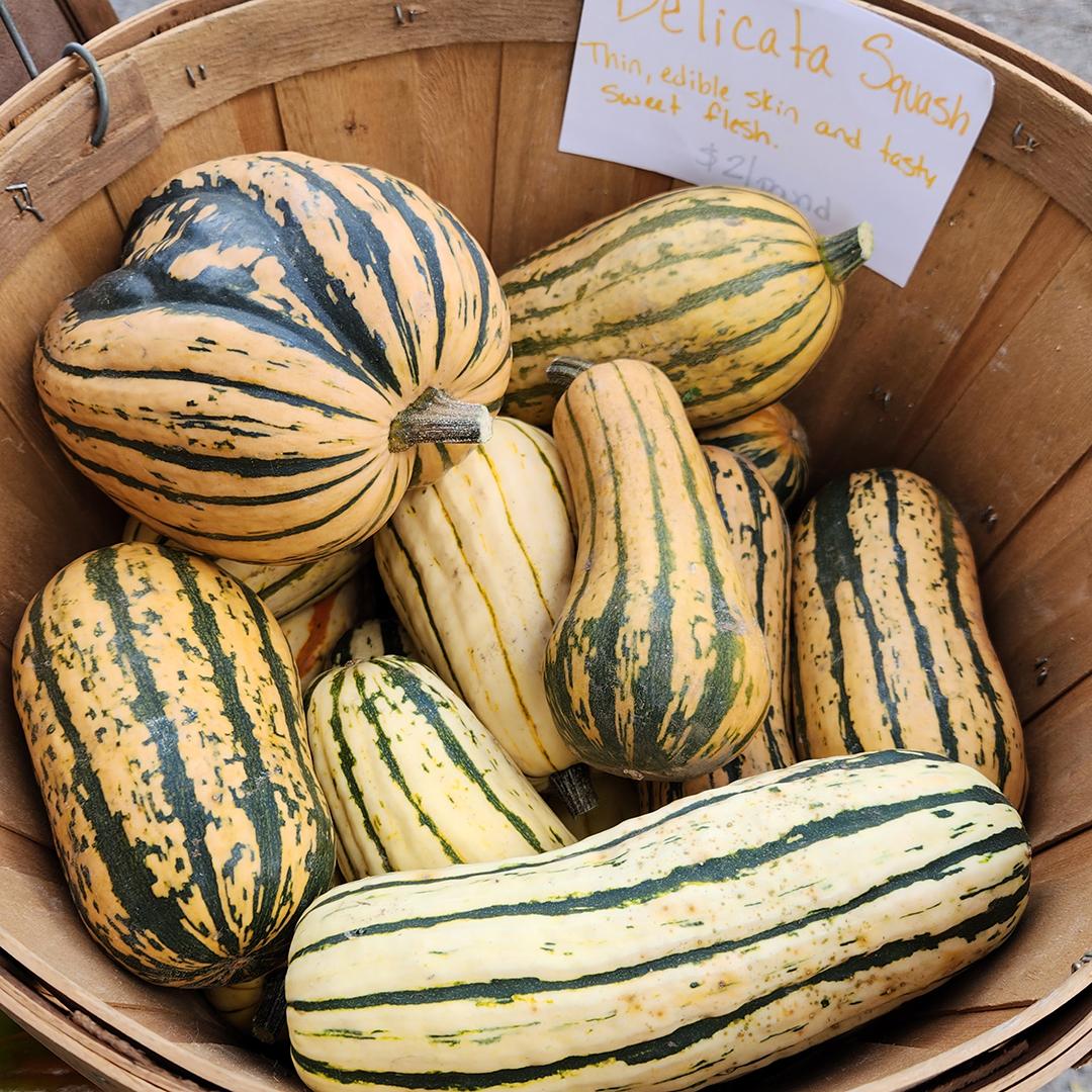 Rosemary Acre at Wayland Sumer Farmers Market, Wed 12-4 pm at Russell's Garden Center
