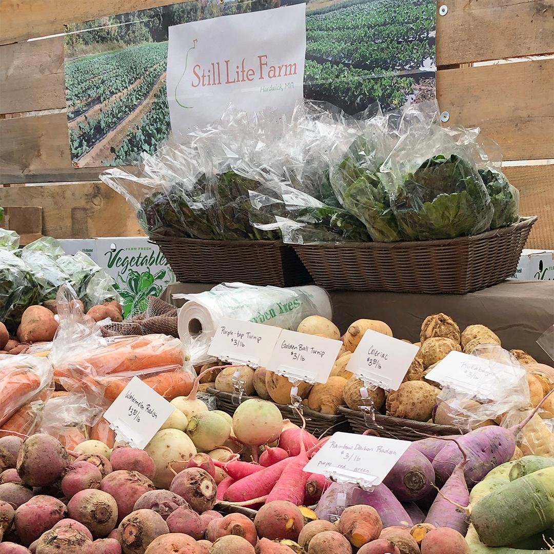 At wayland winter farmers market still life farm