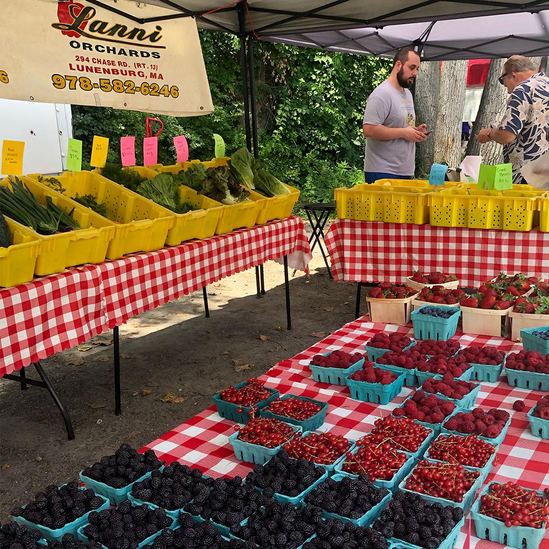 lanni orchard produce at the wayland summer farmers market