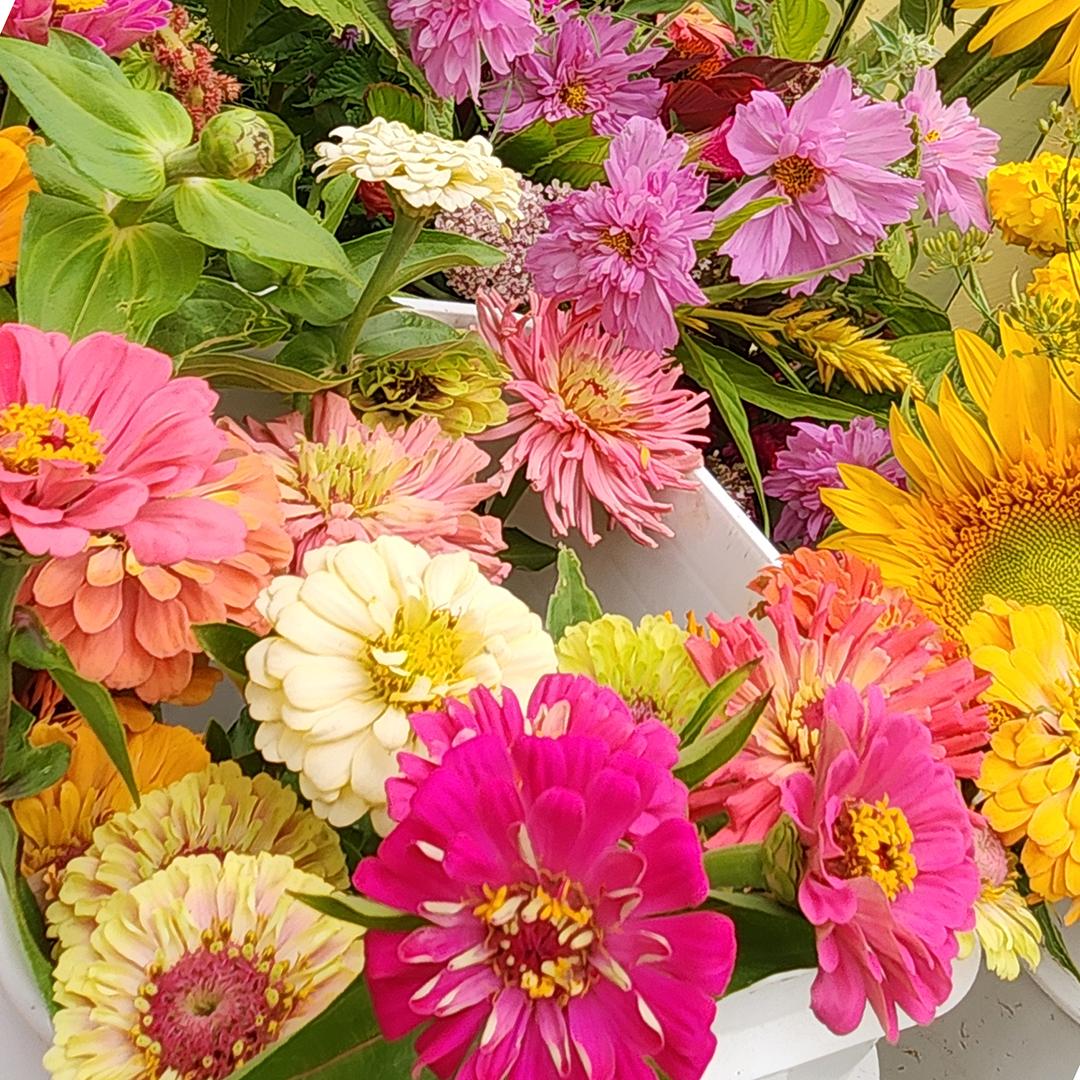 ROSEMARY ACRES At Wayland Summer Farmers Market, Wayland MA Wed. 12-4PM