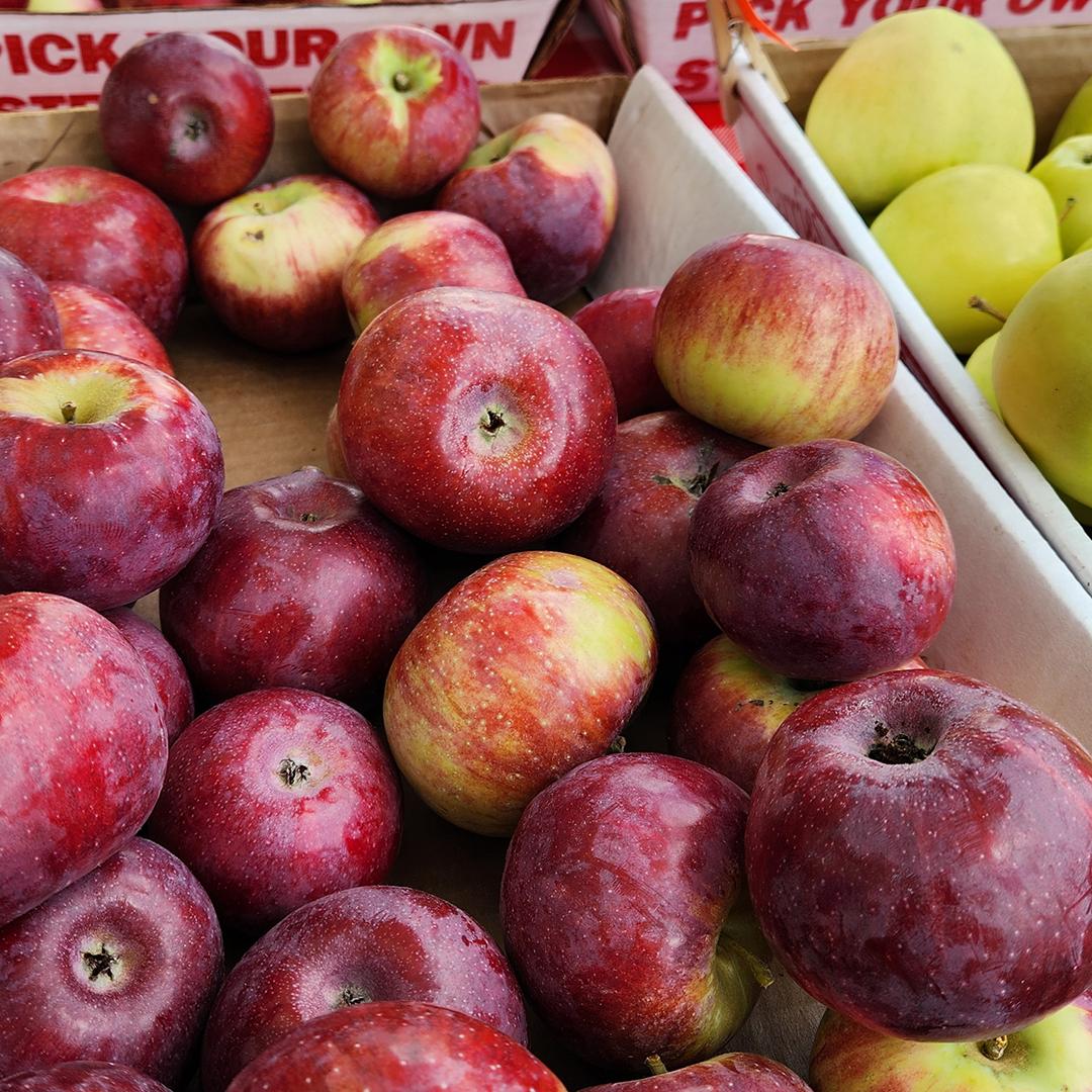 Lanni Orchards  at Wayland Sumer Farmers Market, Wed 12-4 pm at Russell's Garden Center