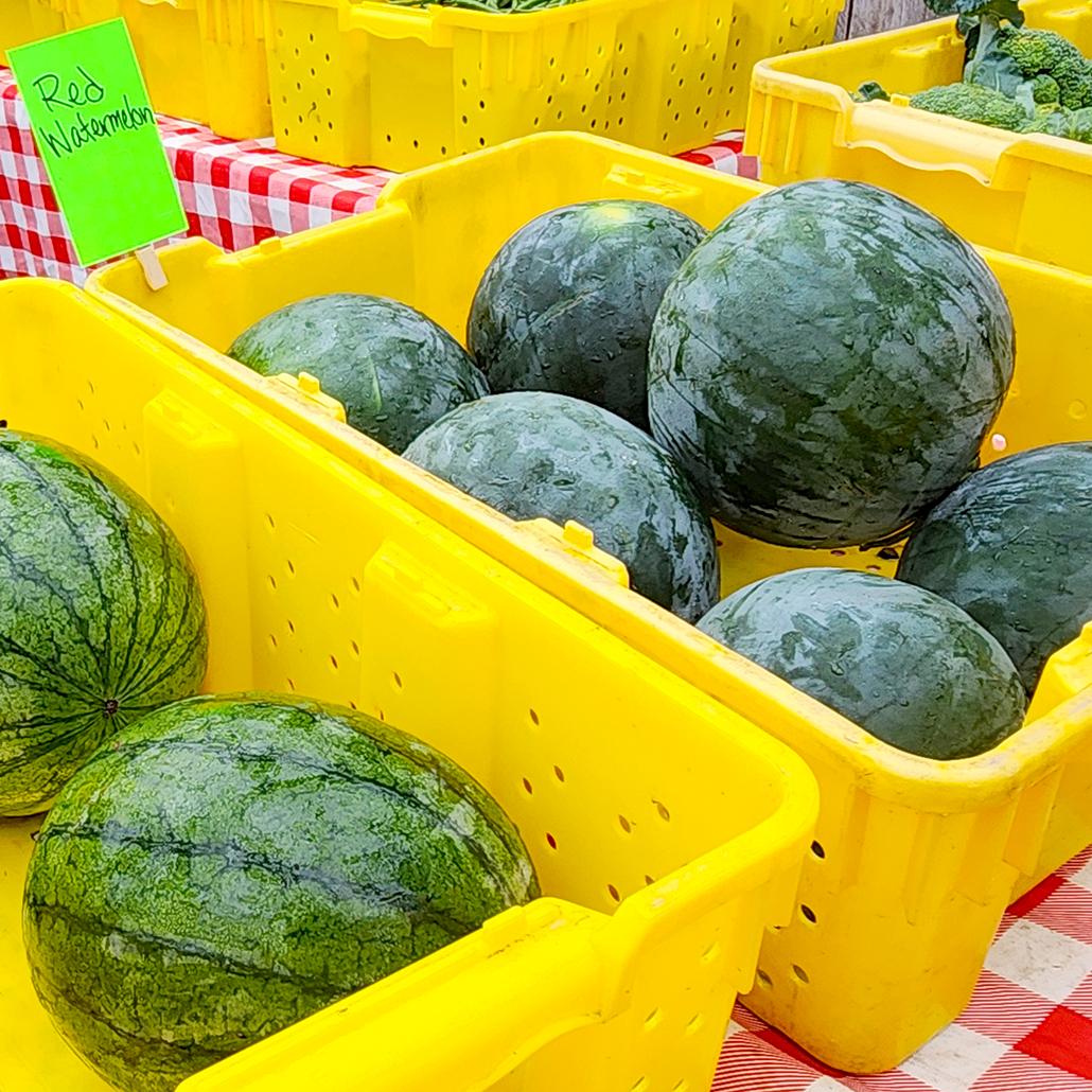 Lanni Orchard At Wayland Summer Farmers Market, Wayland MA Wed. 12-4PM