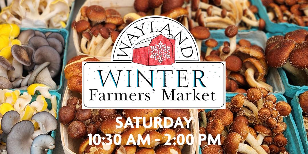 header graphic wayland winter farmers market
