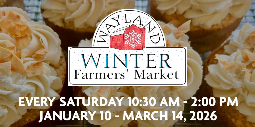 email header with cupcakes from piping p[lover baking company