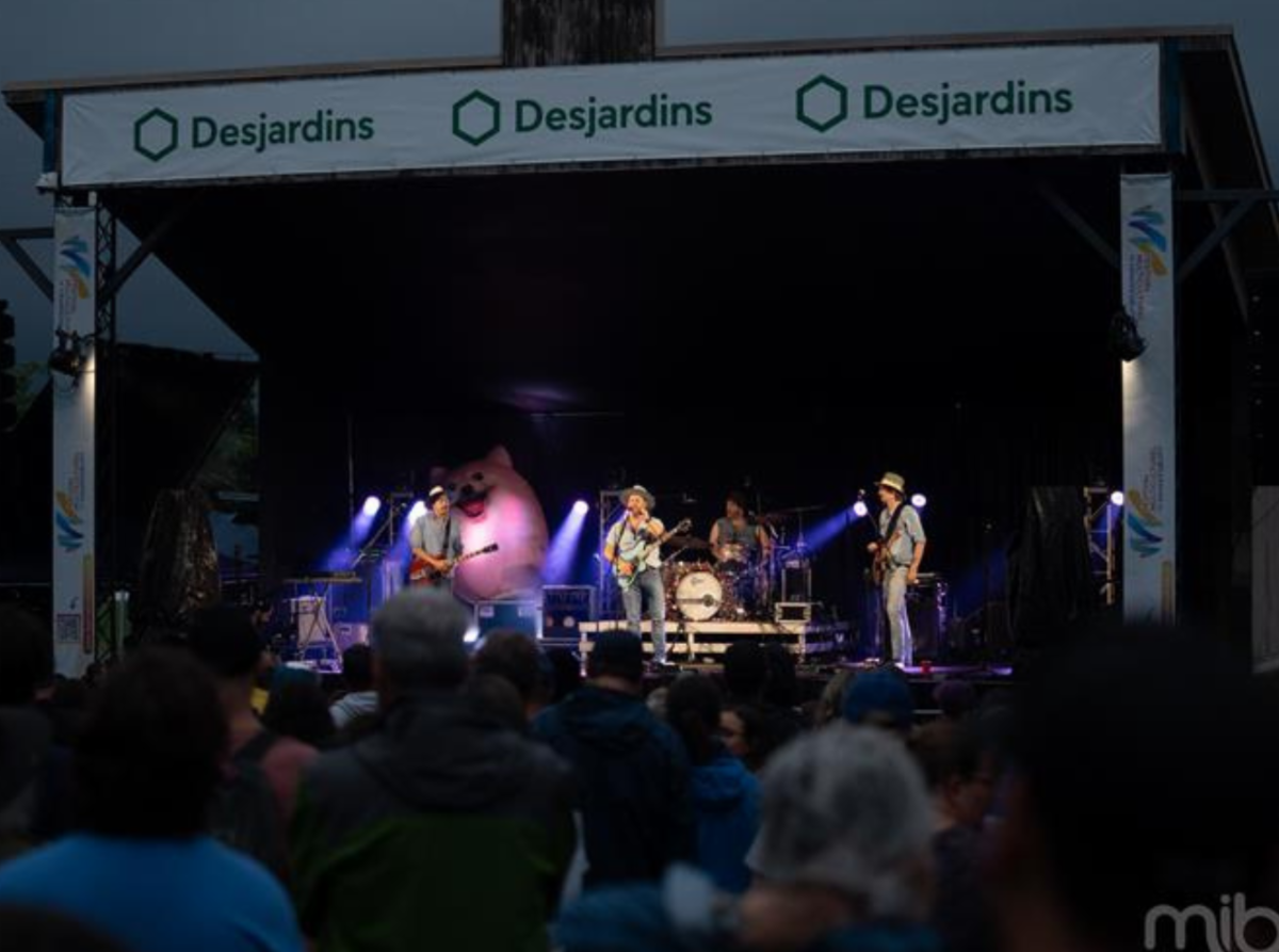 Photo d'un groupe de musique sur une scène du point de vue du public