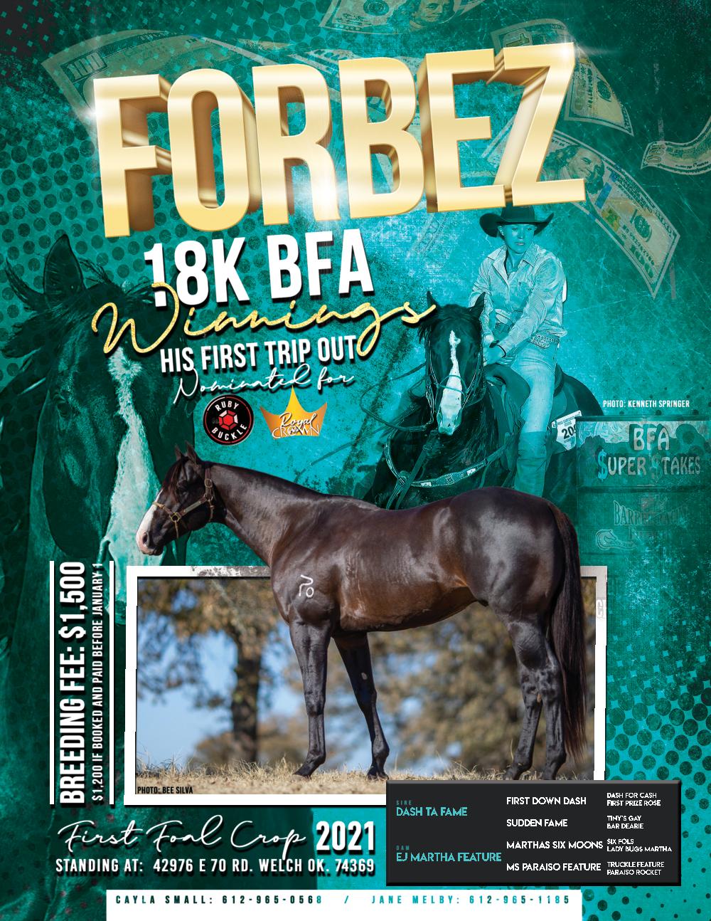 Ride Up EQ Monthly Newsletter