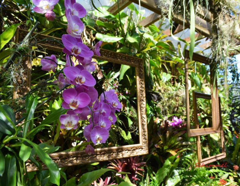 Weekly Briefs FDOT Construction, United Way Garage Sale, Veterans Day