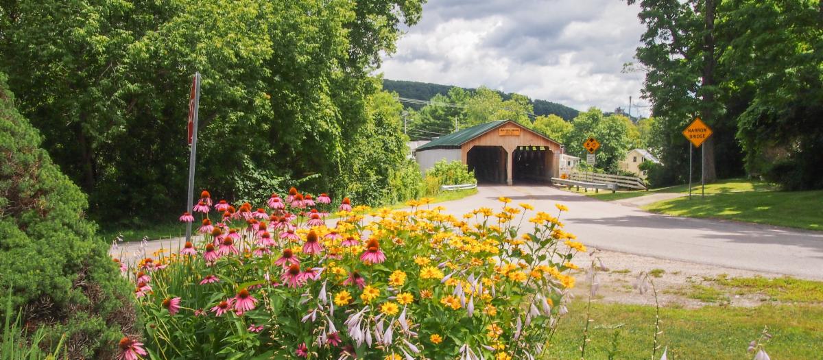 Summer flowers in the foreground, covered bridge in the background