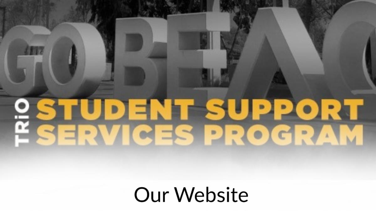 Link to our website
