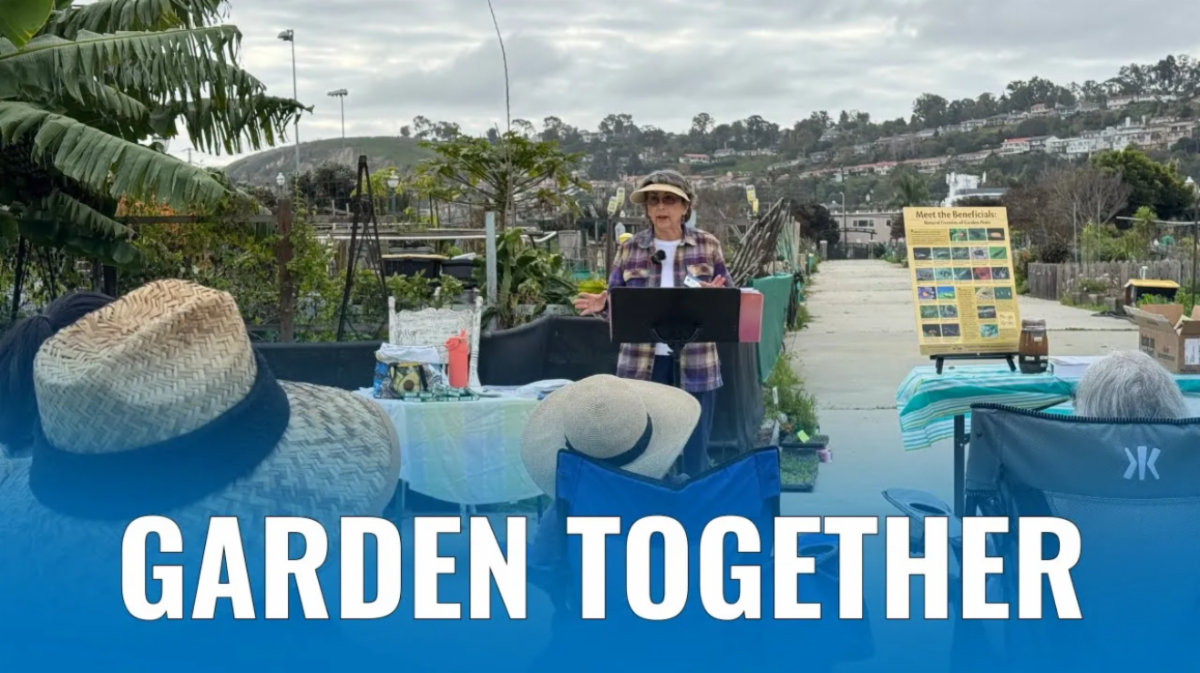 Image of a lady talking to a group of volunteers visiting Lago Seco Park to share a variety of information with community gardeners in Torrance.