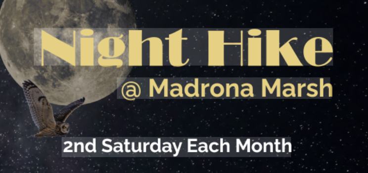 Night Hike @ Madrona Marsh - 2nd Saturday of each month