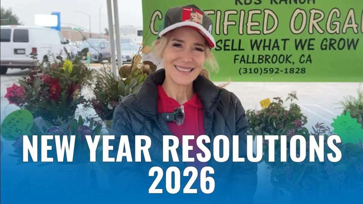 New Year's Resolutions 2026