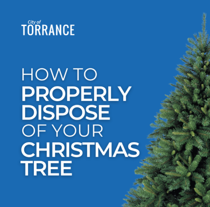 How to Properly Dispose of Your Christmas Tree