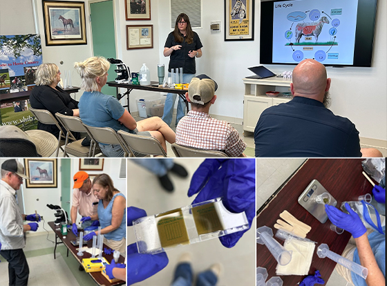 parasite fecal count workshop with instructor presentation