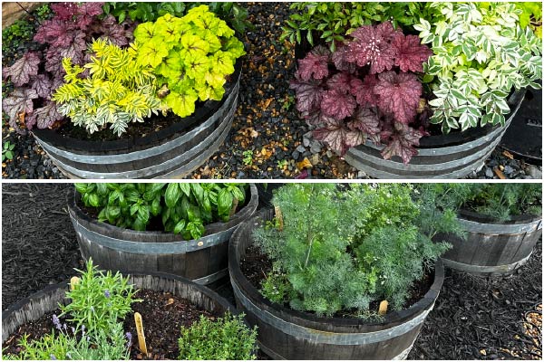planted wooden containers