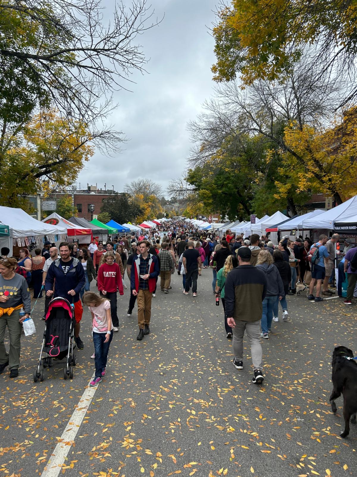 Dover Planning Review October 13, 2023