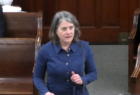 Library Director Denise LaFrance