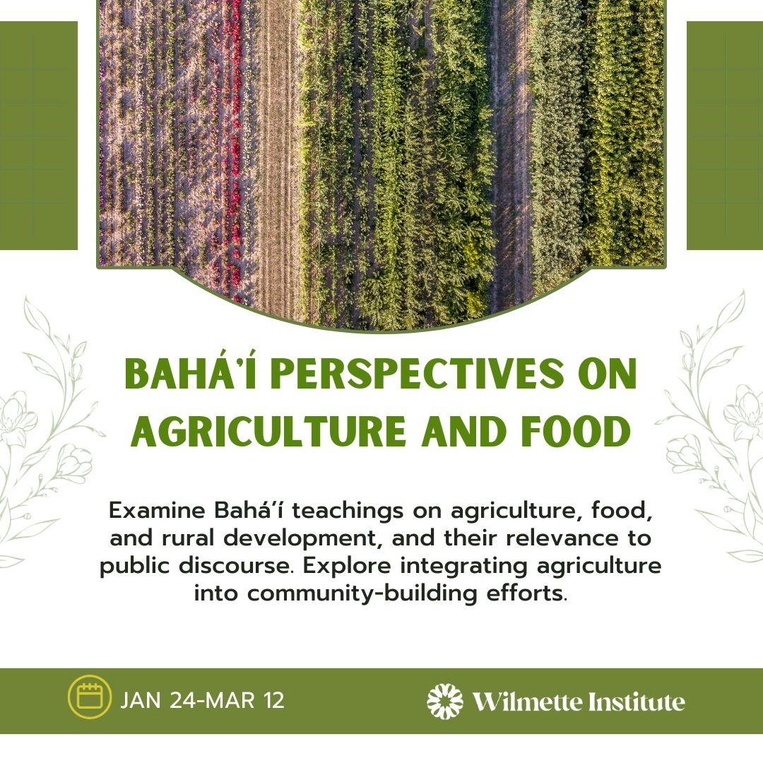 Flyer featuring an aerial photo of a section of farmland with crops sown in straight rows