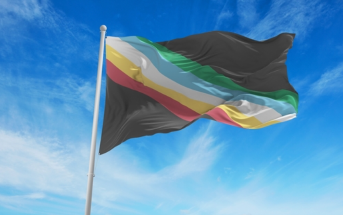 Disability Pride Flag