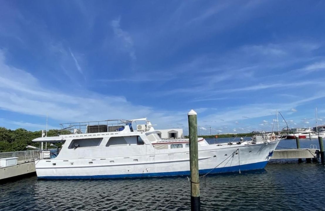 Clays New Boat Dancing Dolphin.jpeg