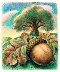 acorn next to a tree.jpg