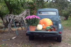 fall vintage truck