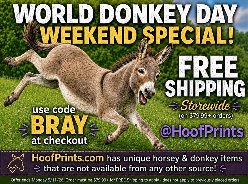 It’s World Donkey Day! use code BRAY for free shipping