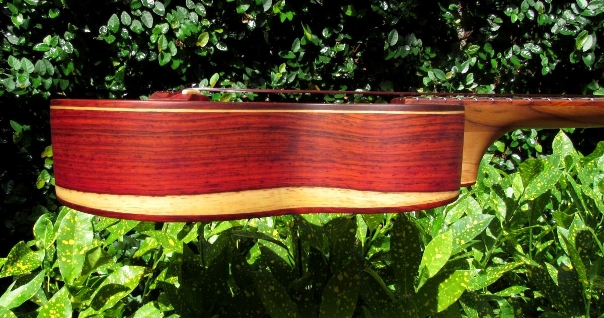 Cocobolo Ukuleles 5String Long Neck Concert 22Now Available for Immediate Purchase!