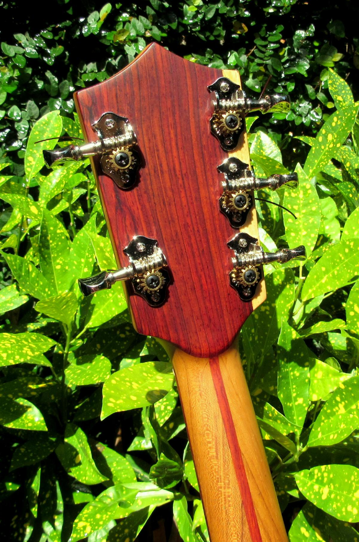 Cocobolo Ukuleles 5String Long Neck Concert 22Now Available for Immediate Purchase!
