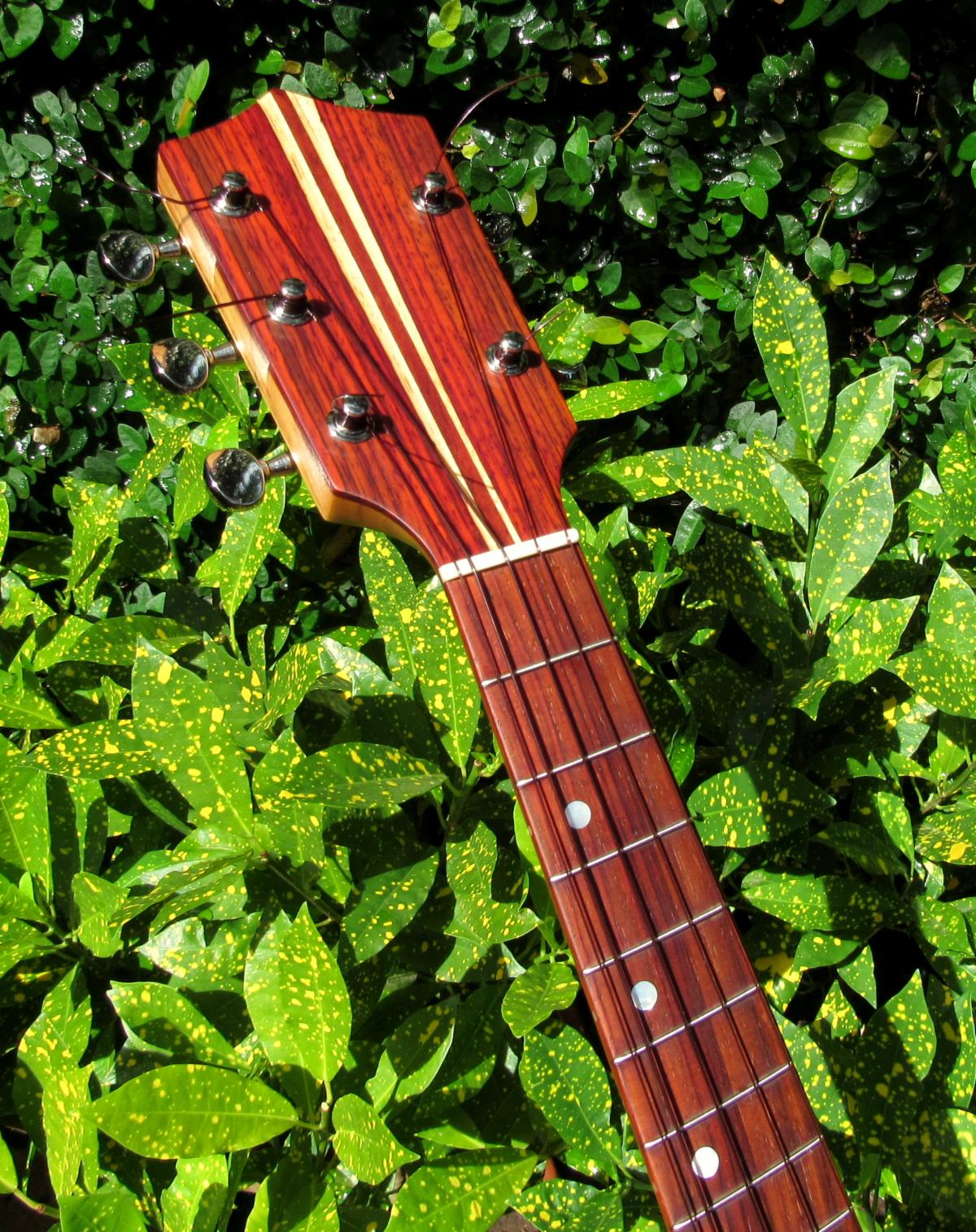 Cocobolo Ukuleles 5String Long Neck Concert 22Now Available for Immediate Purchase!